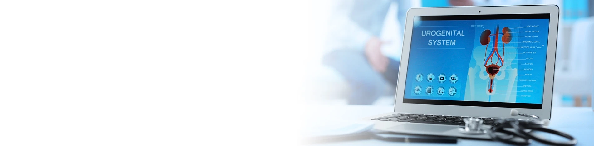 Крипторхизм