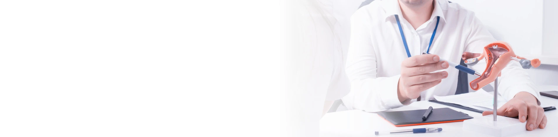 Ановуляторный цикл